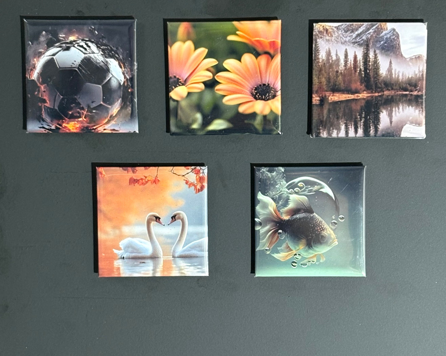 photo magnet